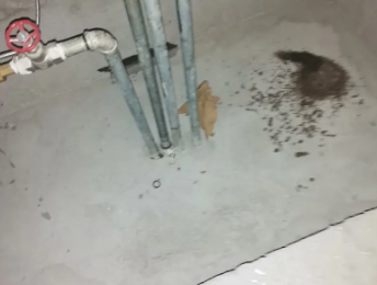 崖州卫生间测漏水价格明细