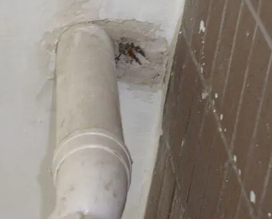 崖州漏水检测哪家好